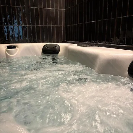 Hydra Haven L Sauna & Jacuzzi L Luxury Wellness Loft Lejlighed